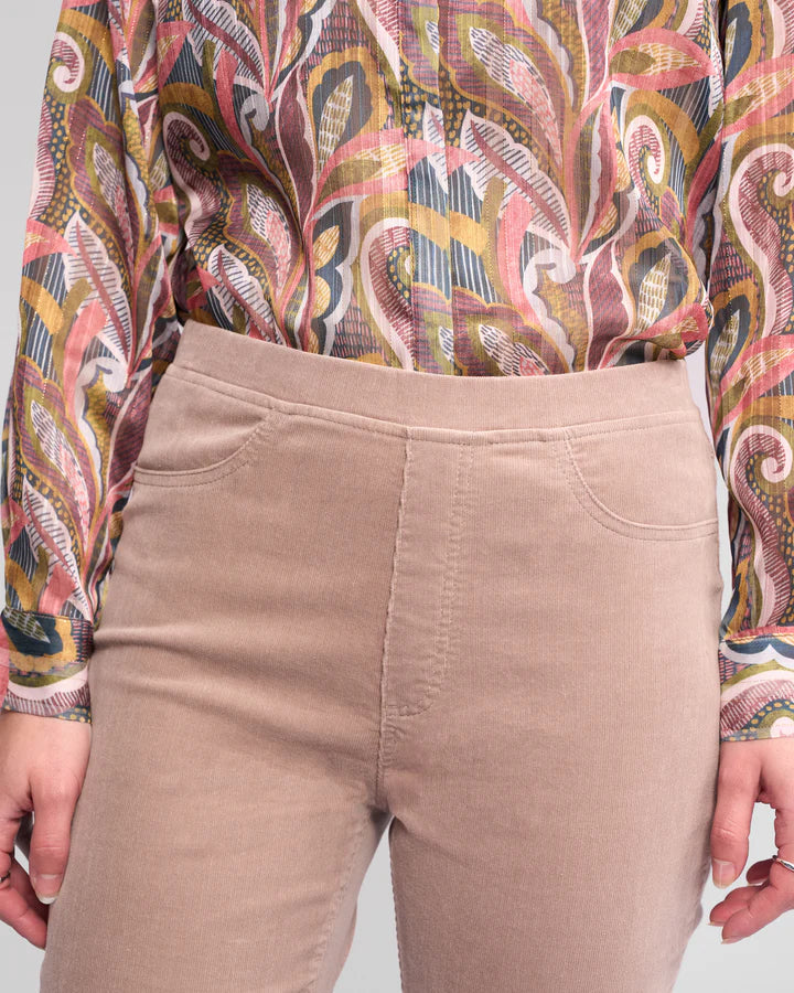 Vassalli "Bay Cord Pull On Pant" - Twig - Sizes:  16
